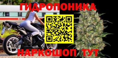 прущая мука Пугачёв