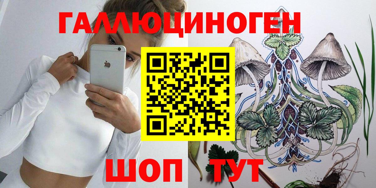 МЕФ Россия